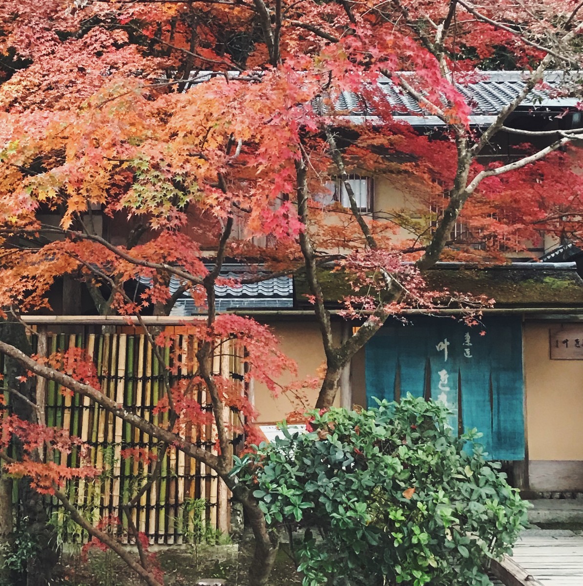 f:id:asacafe:20191210232120j:plain f:id:asacafe:20191210232120j:plain