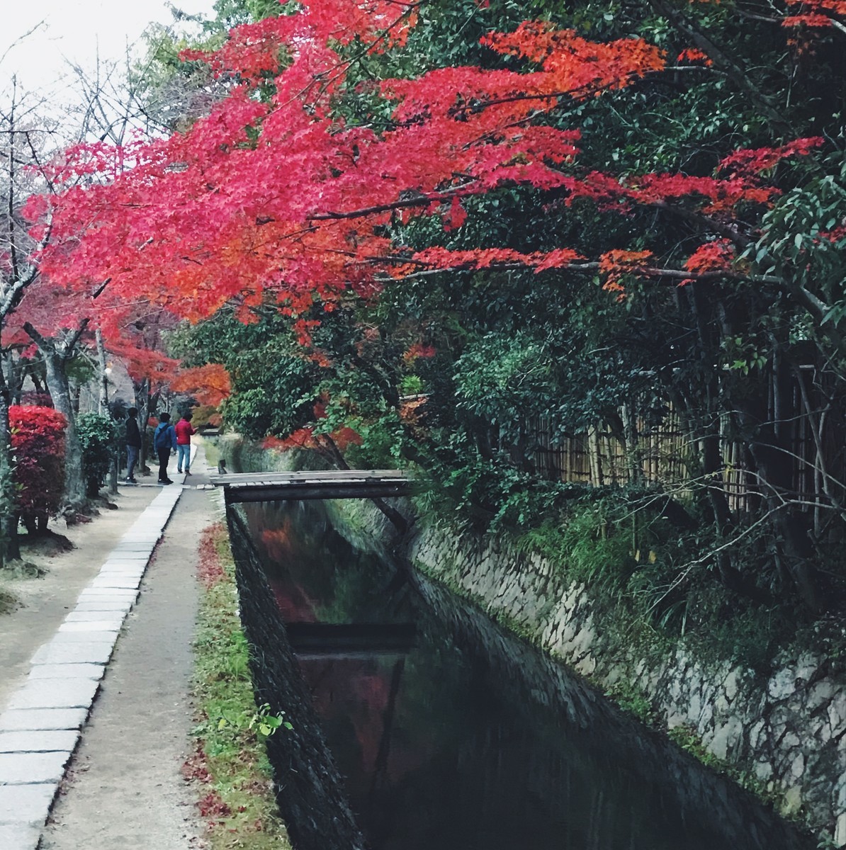 f:id:asacafe:20191210232709j:plain f:id:asacafe:20191210232709j:plain