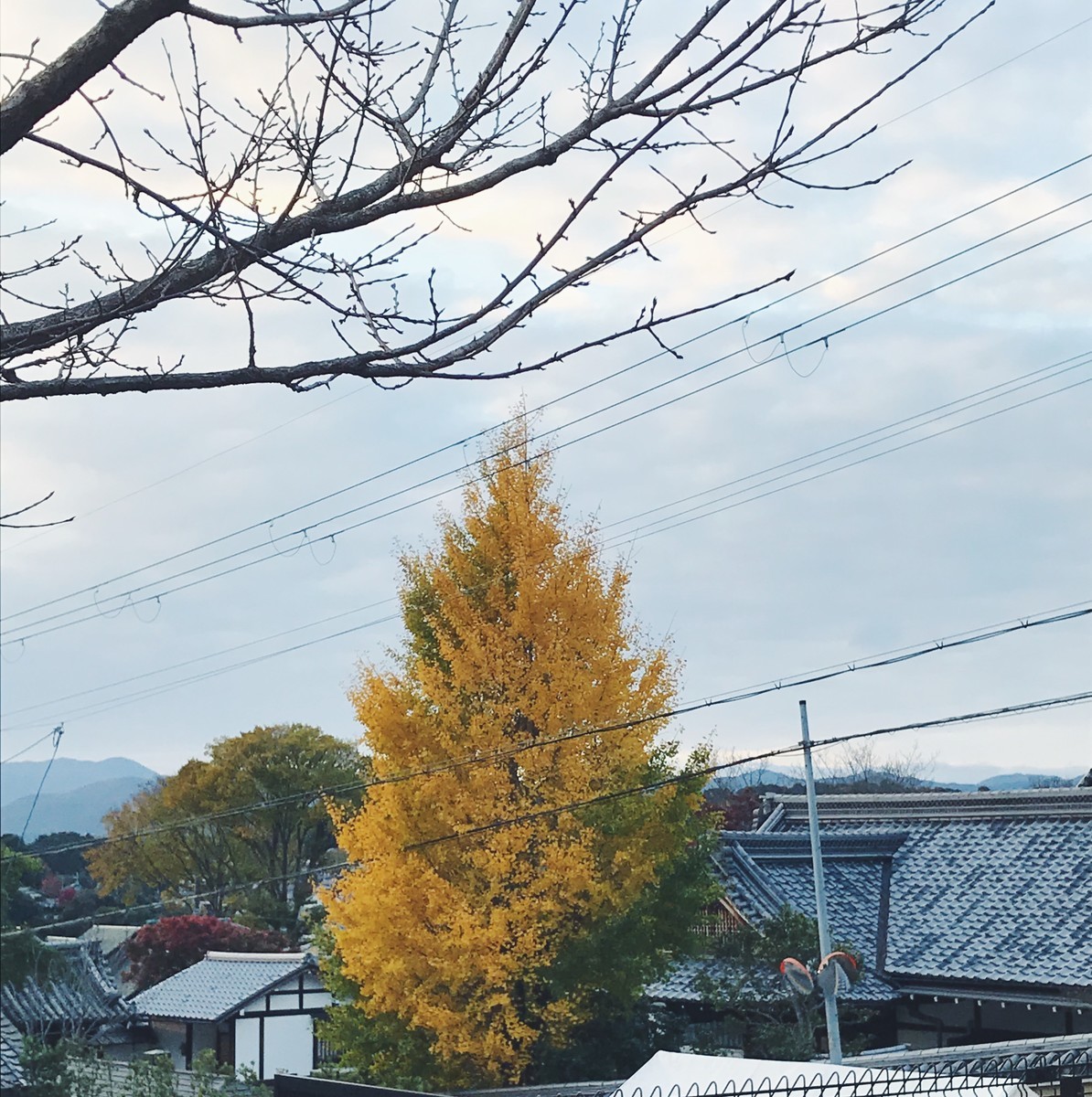 f:id:asacafe:20191210232918j:plain f:id:asacafe:20191210232918j:plain