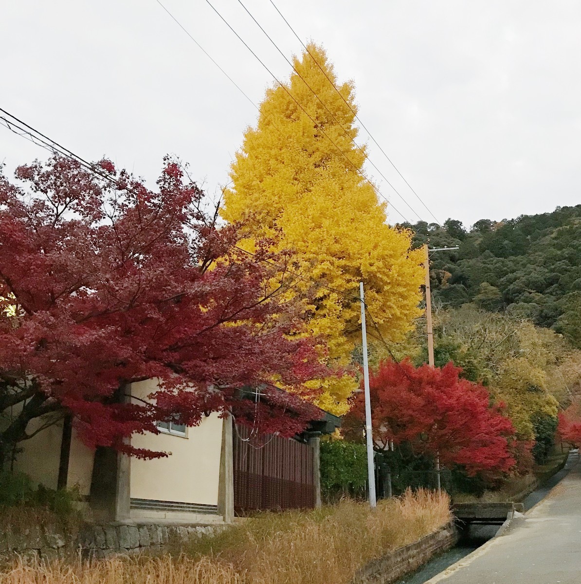 f:id:asacafe:20191210234322j:plain f:id:asacafe:20191210234322j:plain