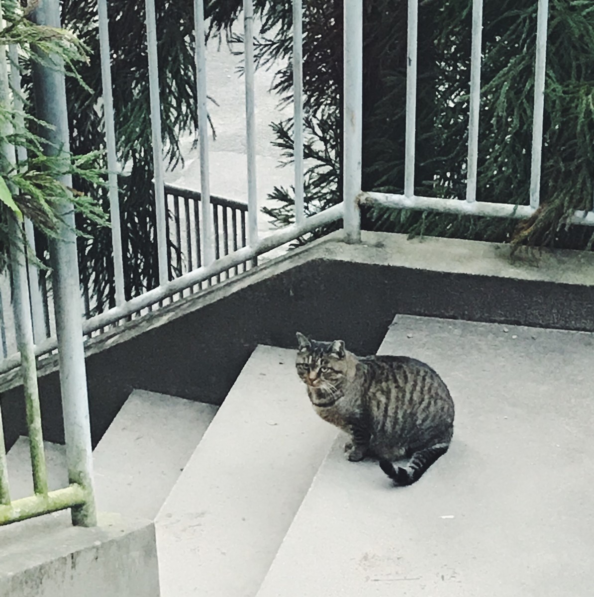 f:id:asacafe:20191210234435j:plain f:id:asacafe:20191210234435j:plain