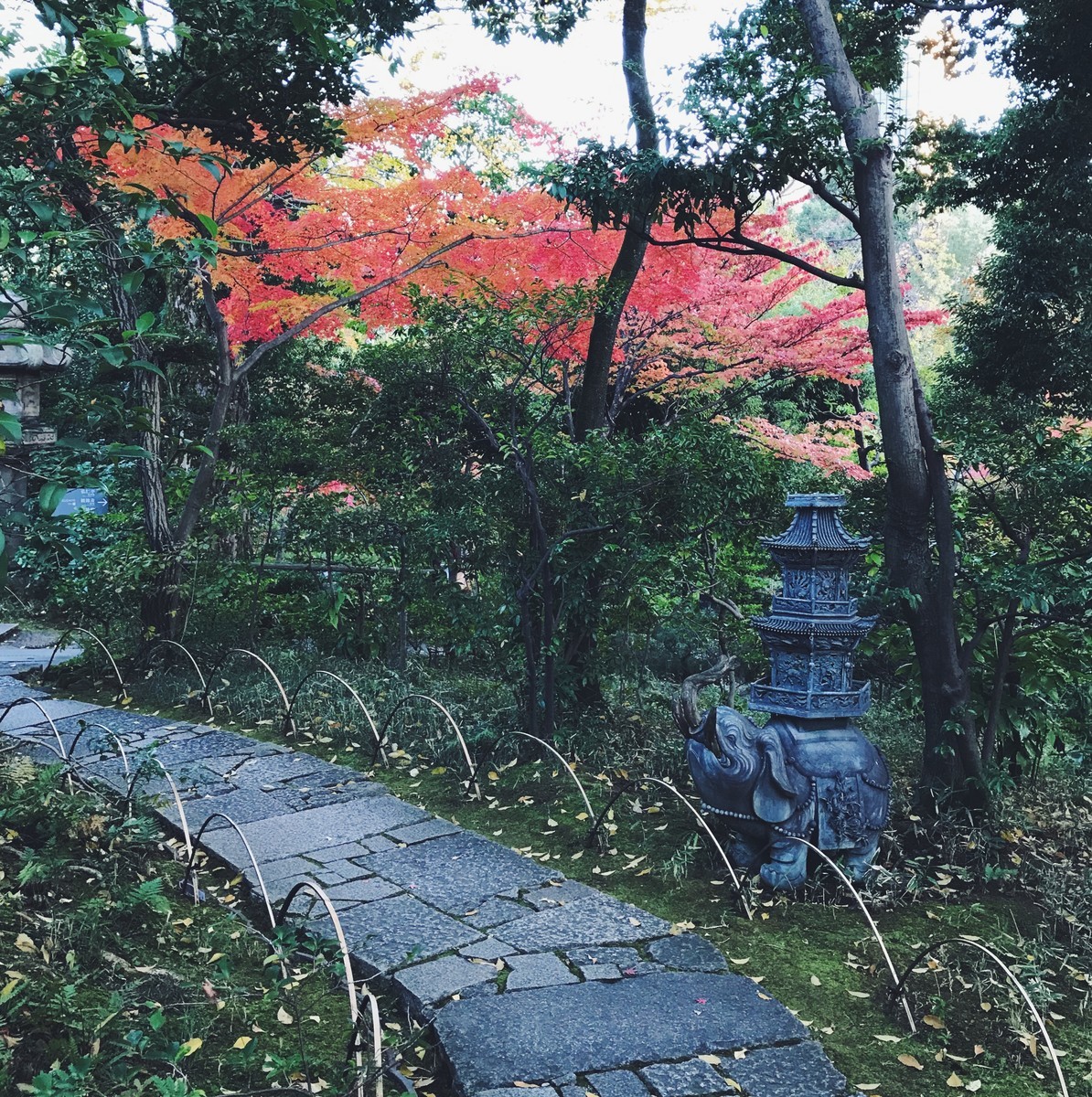 f:id:asacafe:20191211115819j:plain f:id:asacafe:20191211115819j:plain