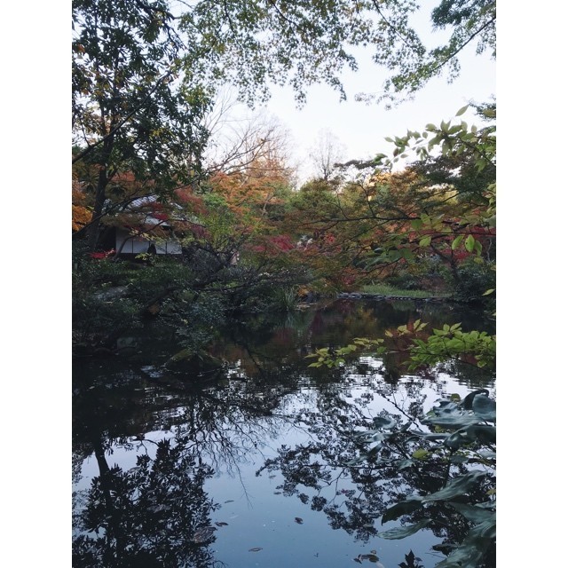 f:id:asacafe:20191211115858j:plain f:id:asacafe:20191211115858j:plain
