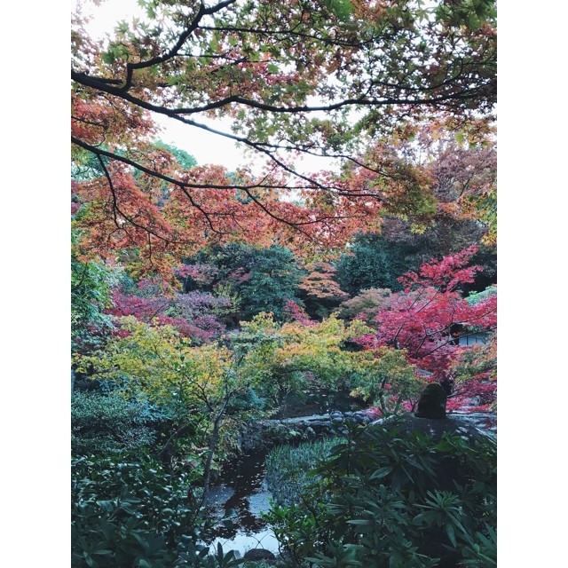 f:id:asacafe:20191211115916j:plain f:id:asacafe:20191211115916j:plain