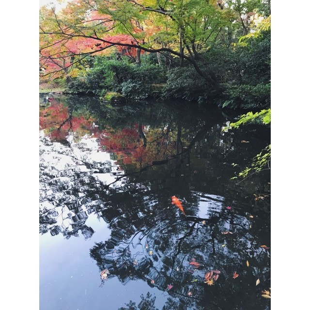 f:id:asacafe:20191211115932j:plain f:id:asacafe:20191211115932j:plain