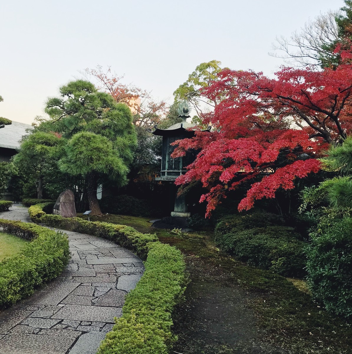 f:id:asacafe:20191211120616j:plain f:id:asacafe:20191211120616j:plain