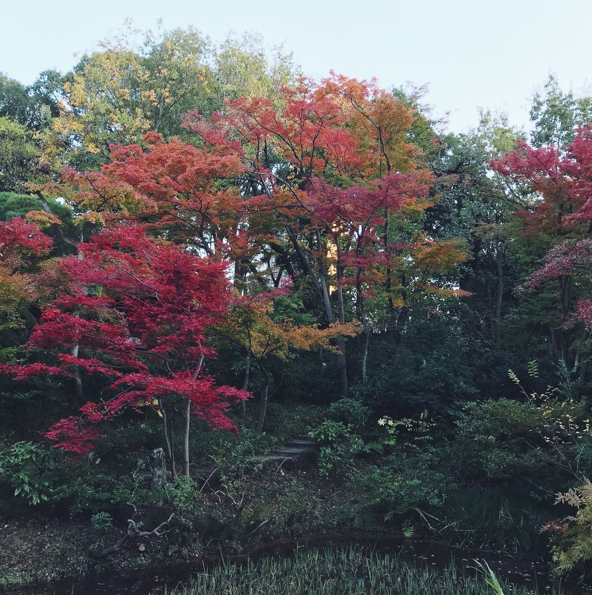 f:id:asacafe:20191211121407j:plain f:id:asacafe:20191211121407j:plain