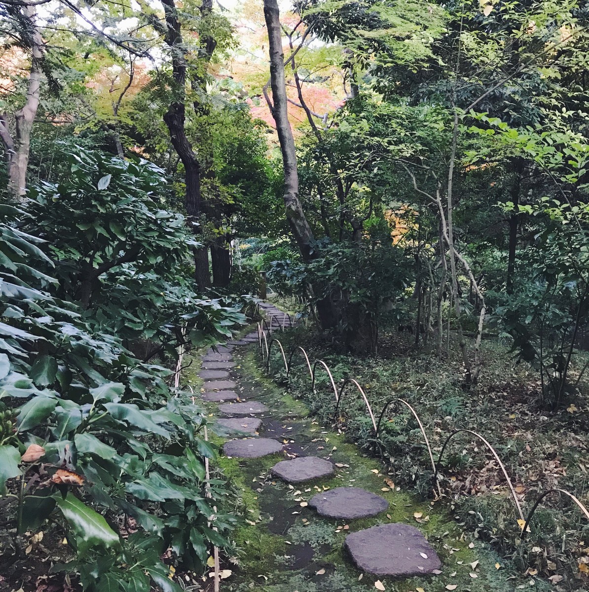 f:id:asacafe:20191211121451j:plain f:id:asacafe:20191211121451j:plain
