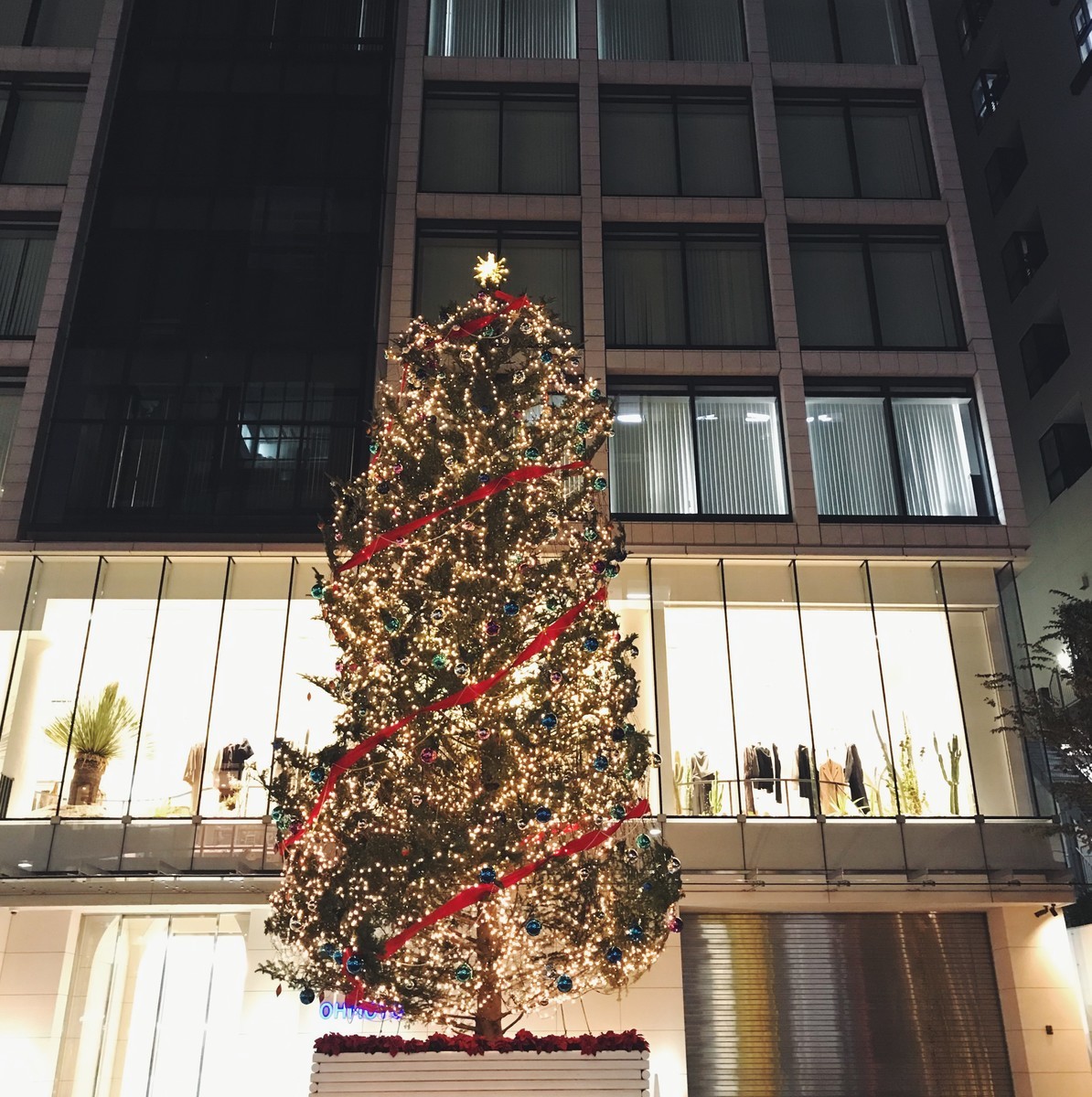 f:id:asacafe:20191211134020j:plain f:id:asacafe:20191211134020j:plain