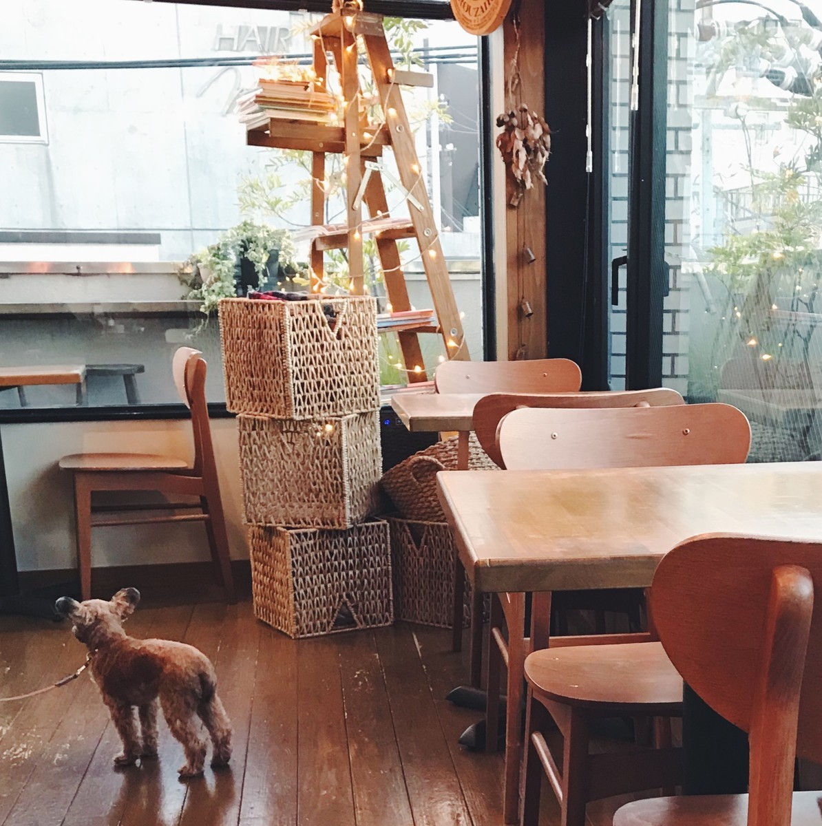 f:id:asacafe:20191213000929j:plain f:id:asacafe:20191213000929j:plain