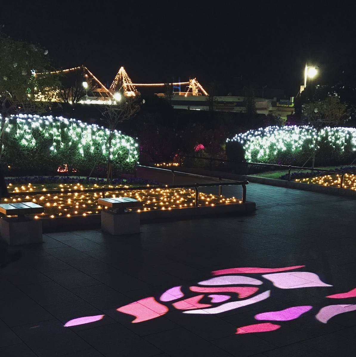 f:id:asacafe:20191214085439j:plain f:id:asacafe:20191214085439j:plain