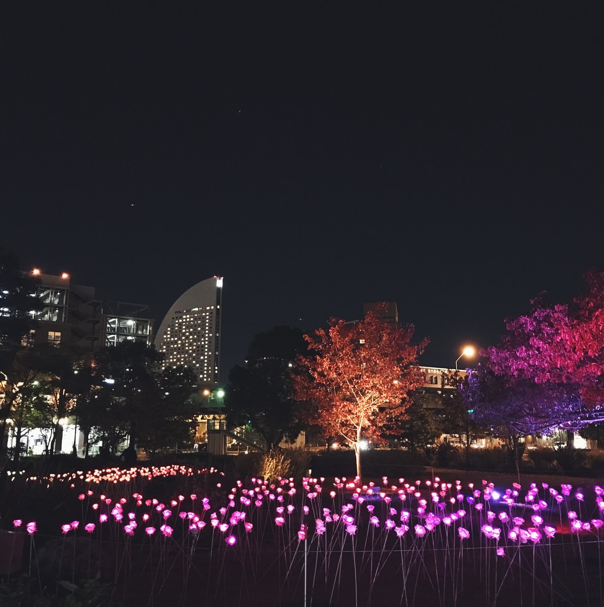 f:id:asacafe:20191214150812j:plain f:id:asacafe:20191214150812j:plain