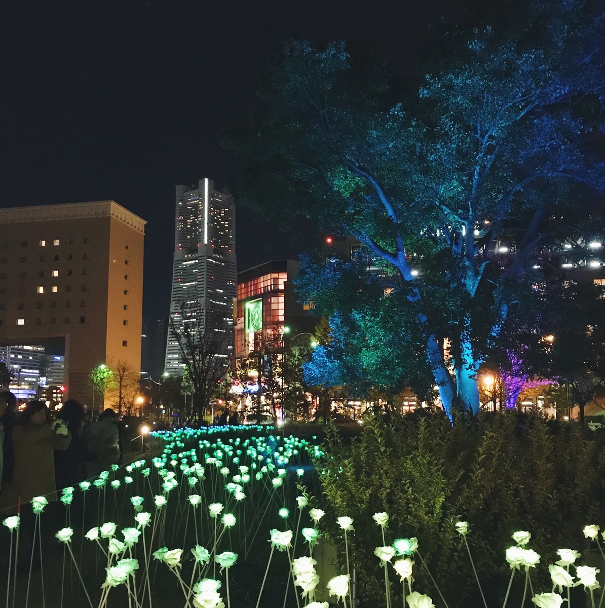 f:id:asacafe:20191214151111j:plain f:id:asacafe:20191214151111j:plain