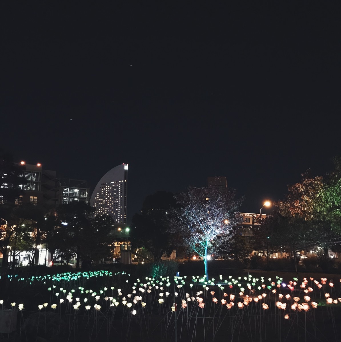 f:id:asacafe:20191214151410j:plain f:id:asacafe:20191214151410j:plain