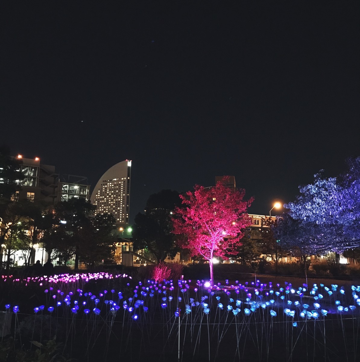 f:id:asacafe:20191214151451j:plain f:id:asacafe:20191214151451j:plain
