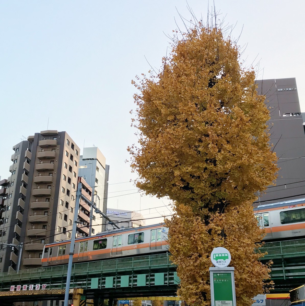 f:id:asacafe:20191220180742j:plain f:id:asacafe:20191220180742j:plain