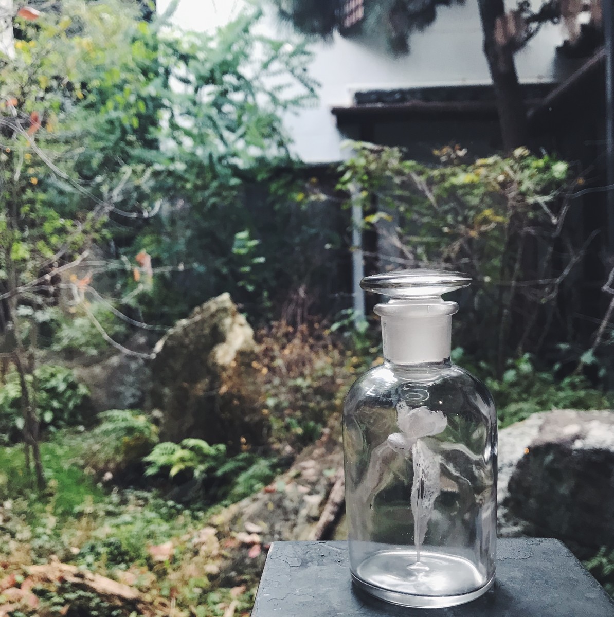 f:id:asacafe:20191221012217j:plain f:id:asacafe:20191221012217j:plain