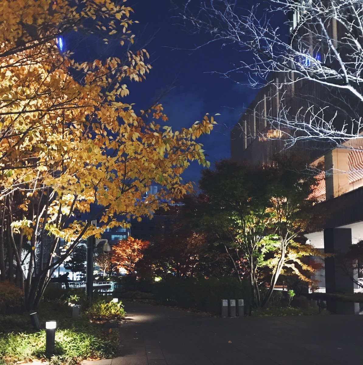 f:id:asacafe:20191221015701j:plain f:id:asacafe:20191221015701j:plain