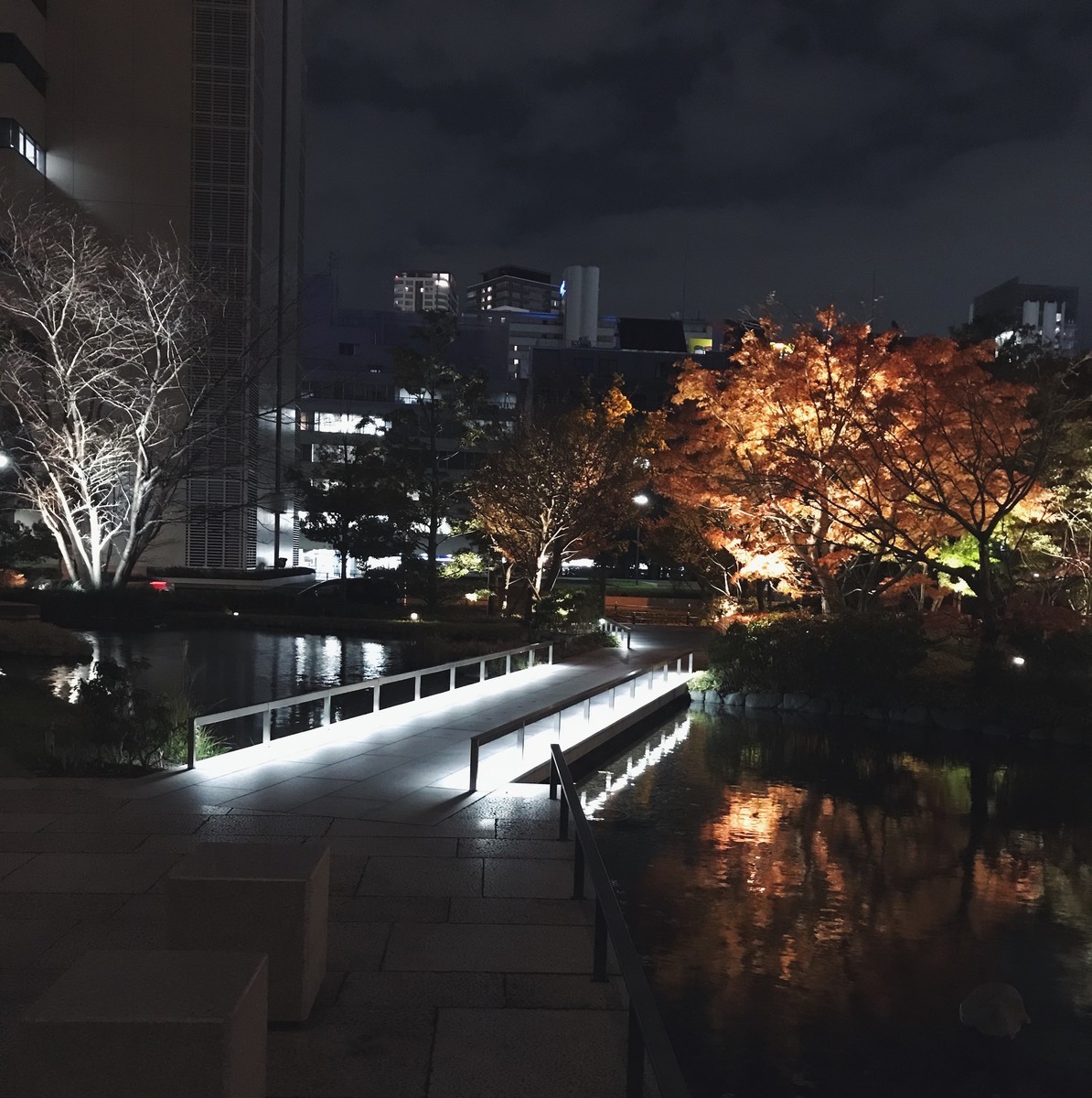 f:id:asacafe:20191221020233j:plain f:id:asacafe:20191221020233j:plain