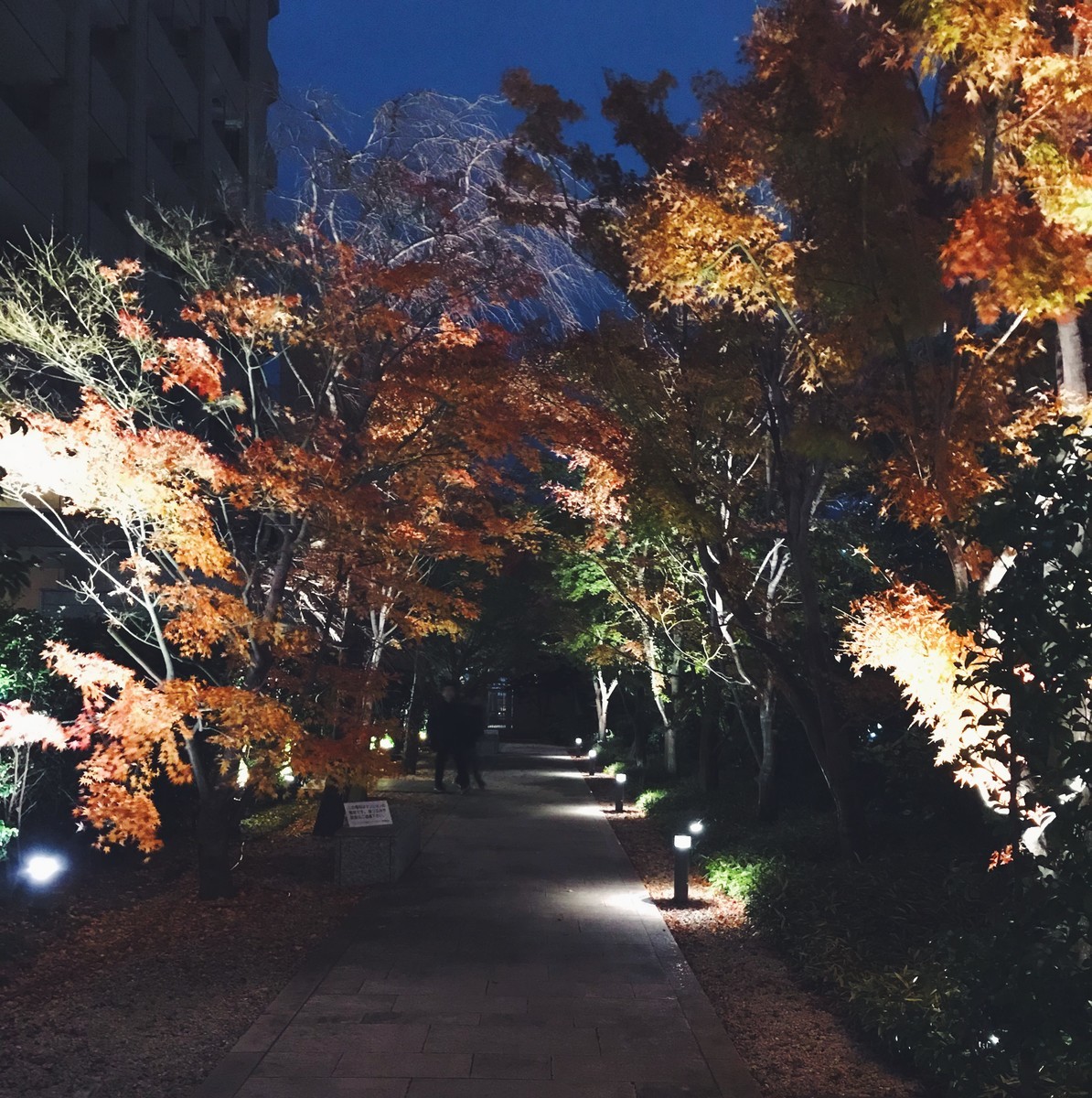 f:id:asacafe:20191221020953j:plain f:id:asacafe:20191221020953j:plain