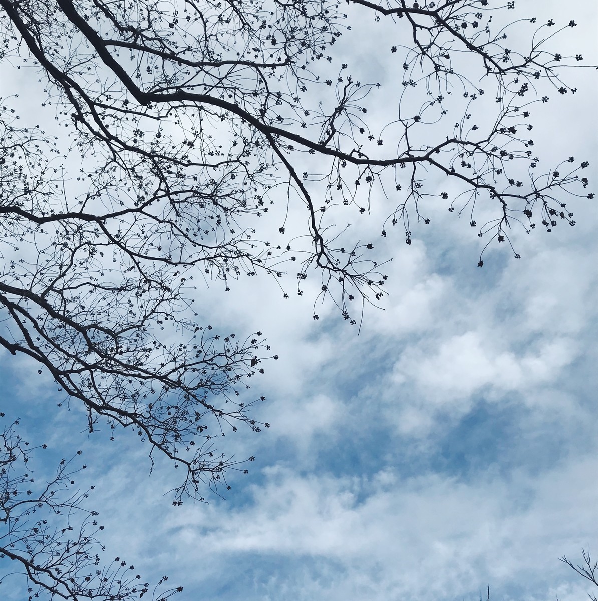 f:id:asacafe:20191221121527j:plain f:id:asacafe:20191221121527j:plain