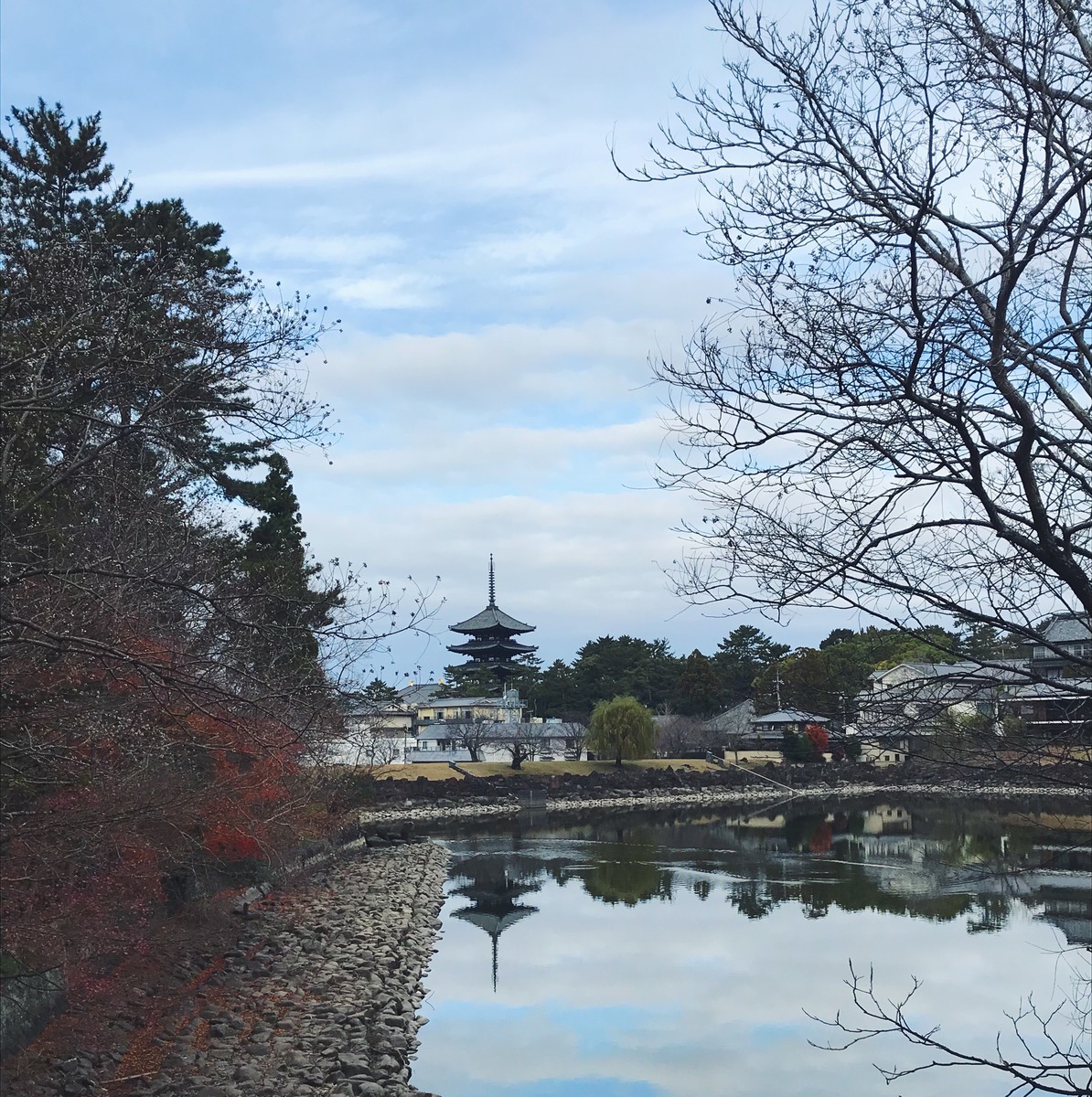f:id:asacafe:20191221121747j:plain f:id:asacafe:20191221121747j:plain