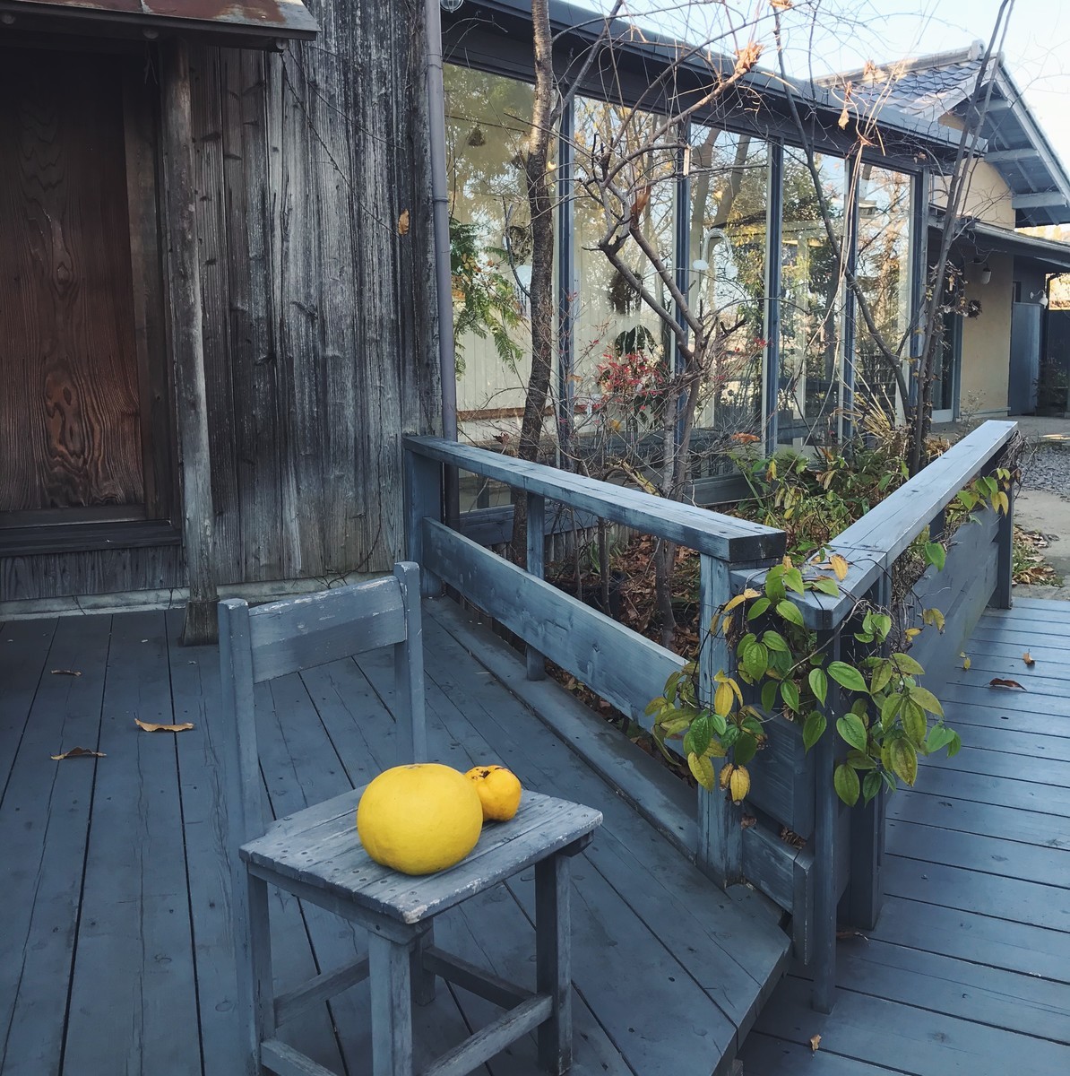 f:id:asacafe:20191224100917j:plain f:id:asacafe:20191224100917j:plain