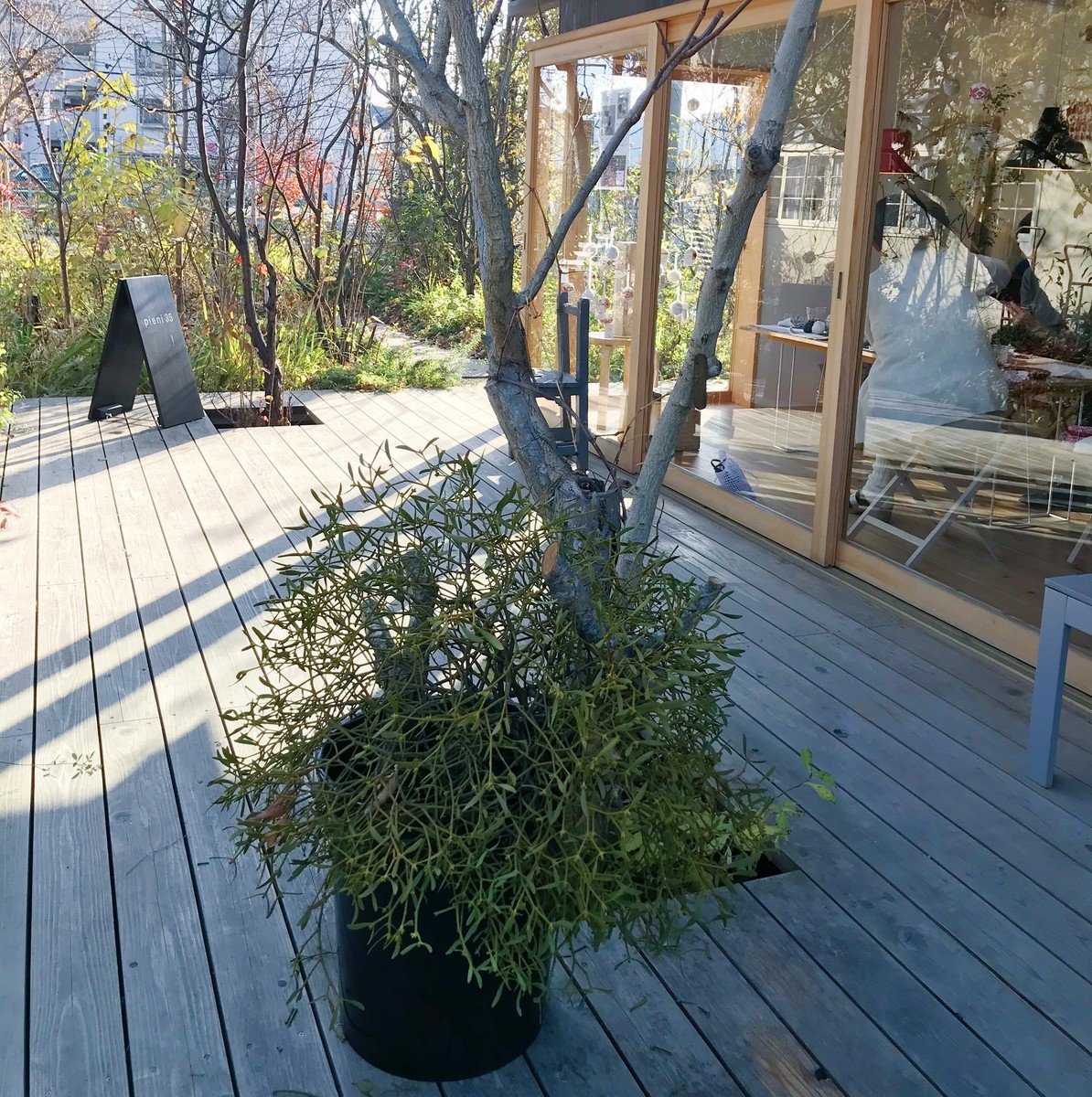 f:id:asacafe:20191224103955j:plain f:id:asacafe:20191224103955j:plain