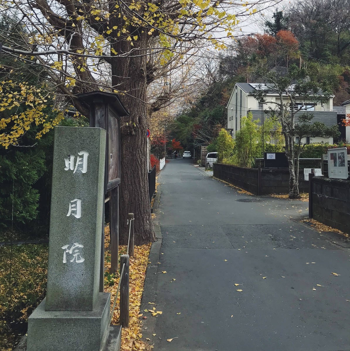 f:id:asacafe:20200102110146j:plain f:id:asacafe:20200102110146j:plain