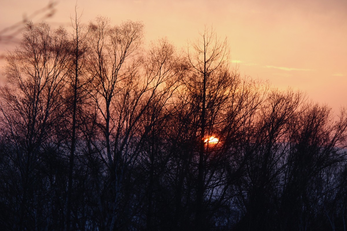 f:id:asacafe:20200213165032j:plain f:id:asacafe:20200213165032j:plain