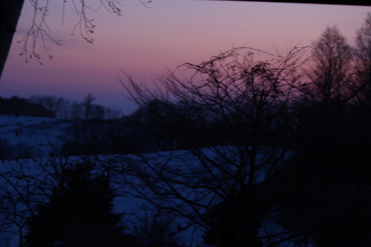 f:id:asacafe:20200213172253j:plain f:id:asacafe:20200213172253j:plain