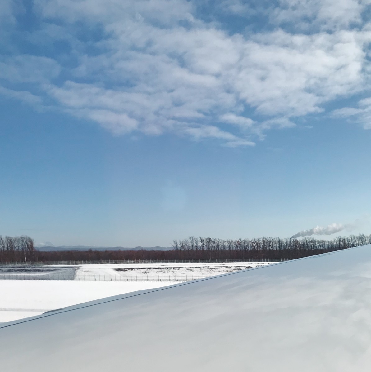 f:id:asacafe:20200222164548j:plain f:id:asacafe:20200222164548j:plain