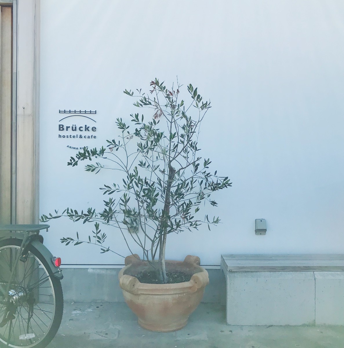 f:id:asacafe:20201014080157j:plain f:id:asacafe:20201014080157j:plain