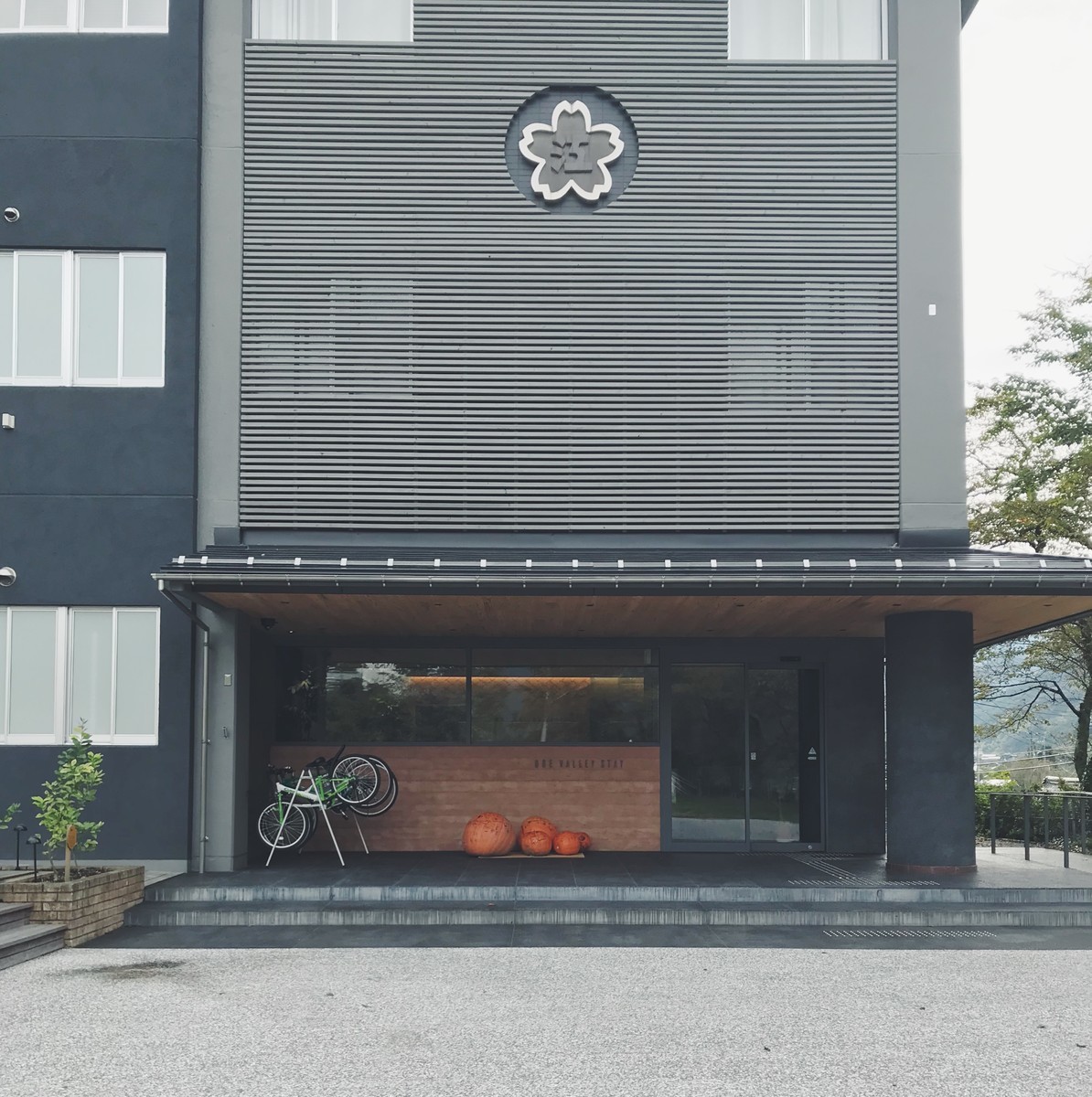 f:id:asacafe:20201029005129j:plain f:id:asacafe:20201029005129j:plain