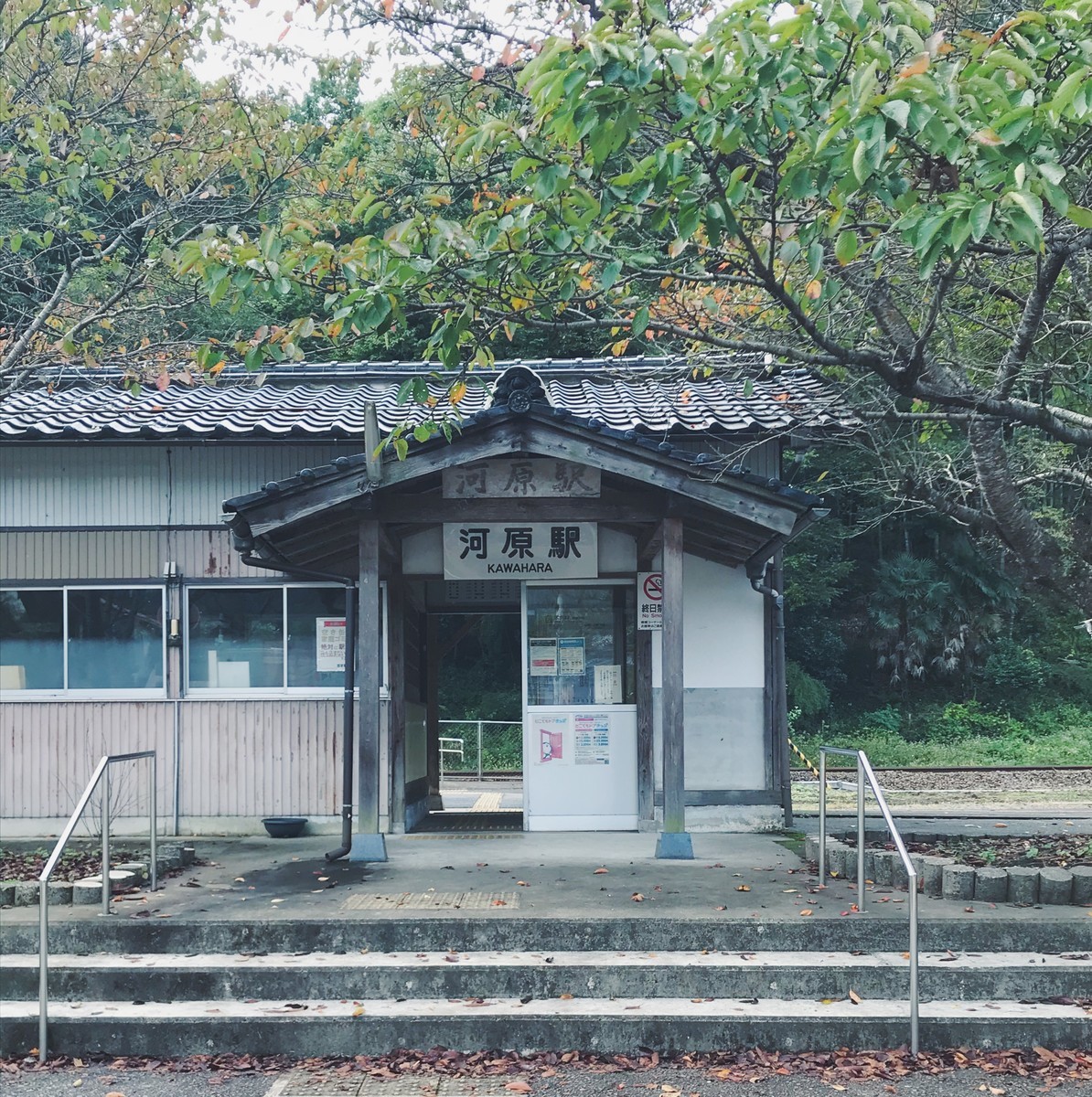 f:id:asacafe:20201029024246j:plain f:id:asacafe:20201029024246j:plain