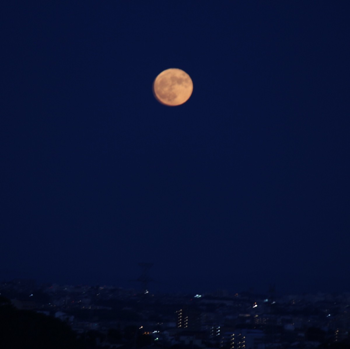 f:id:asacafe:20201104091553j:plain f:id:asacafe:20201104091553j:plain