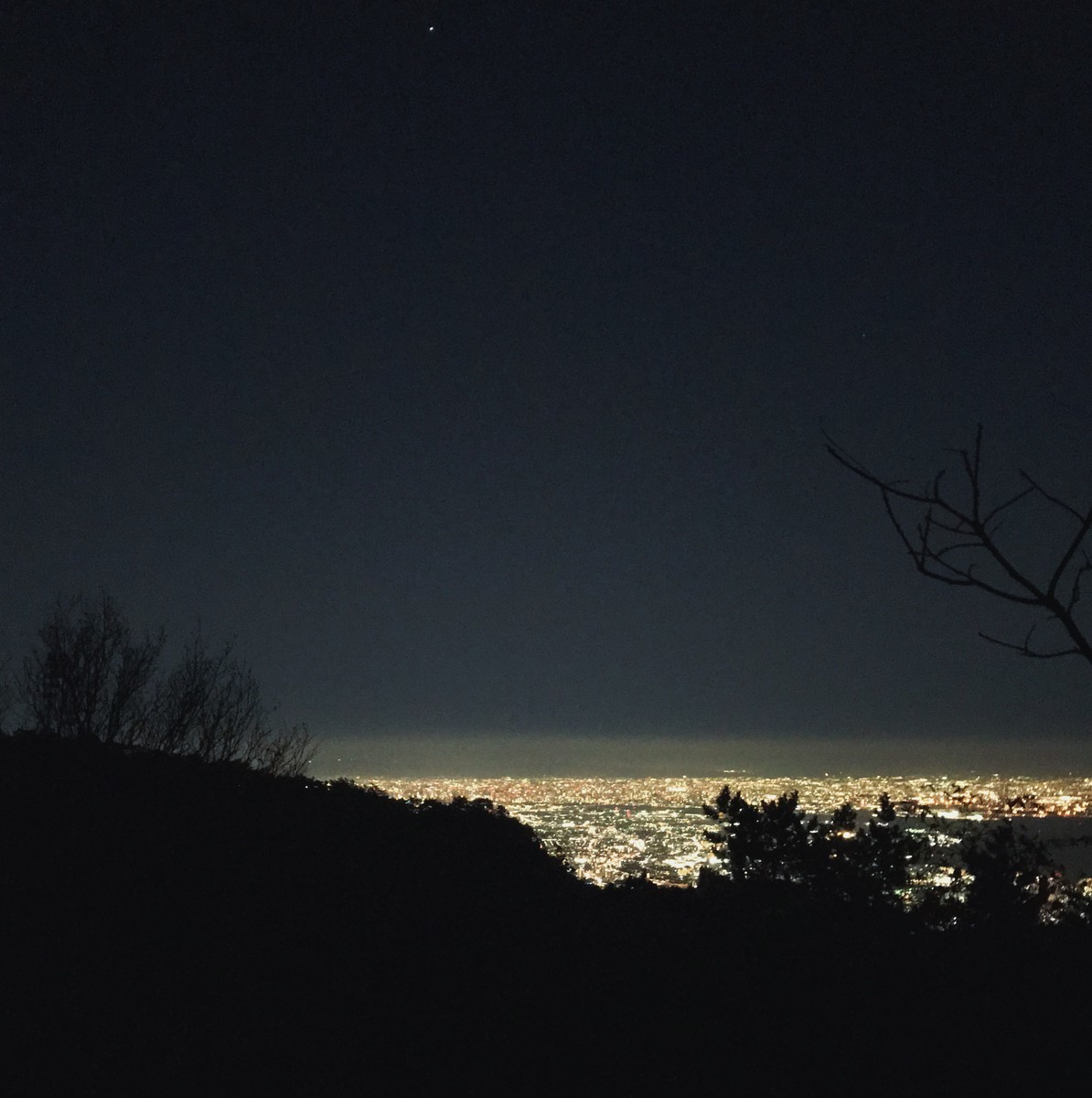 f:id:asacafe:20201126082625j:plain