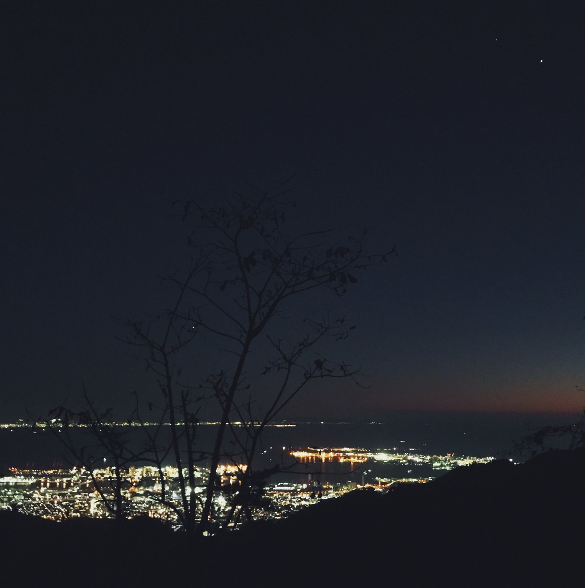f:id:asacafe:20201126082659j:plain