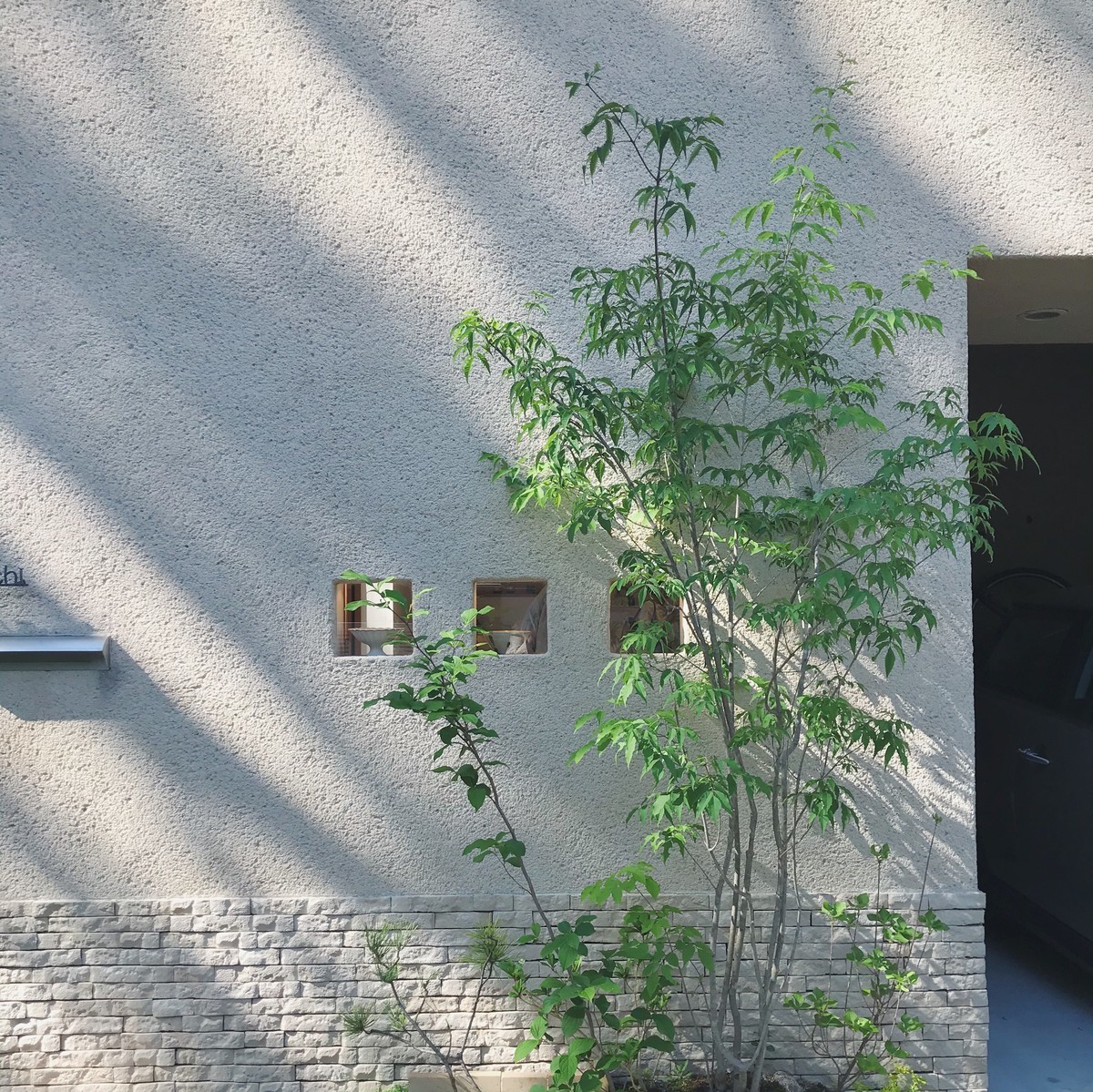 f:id:asacafe:20210424112236j:plain