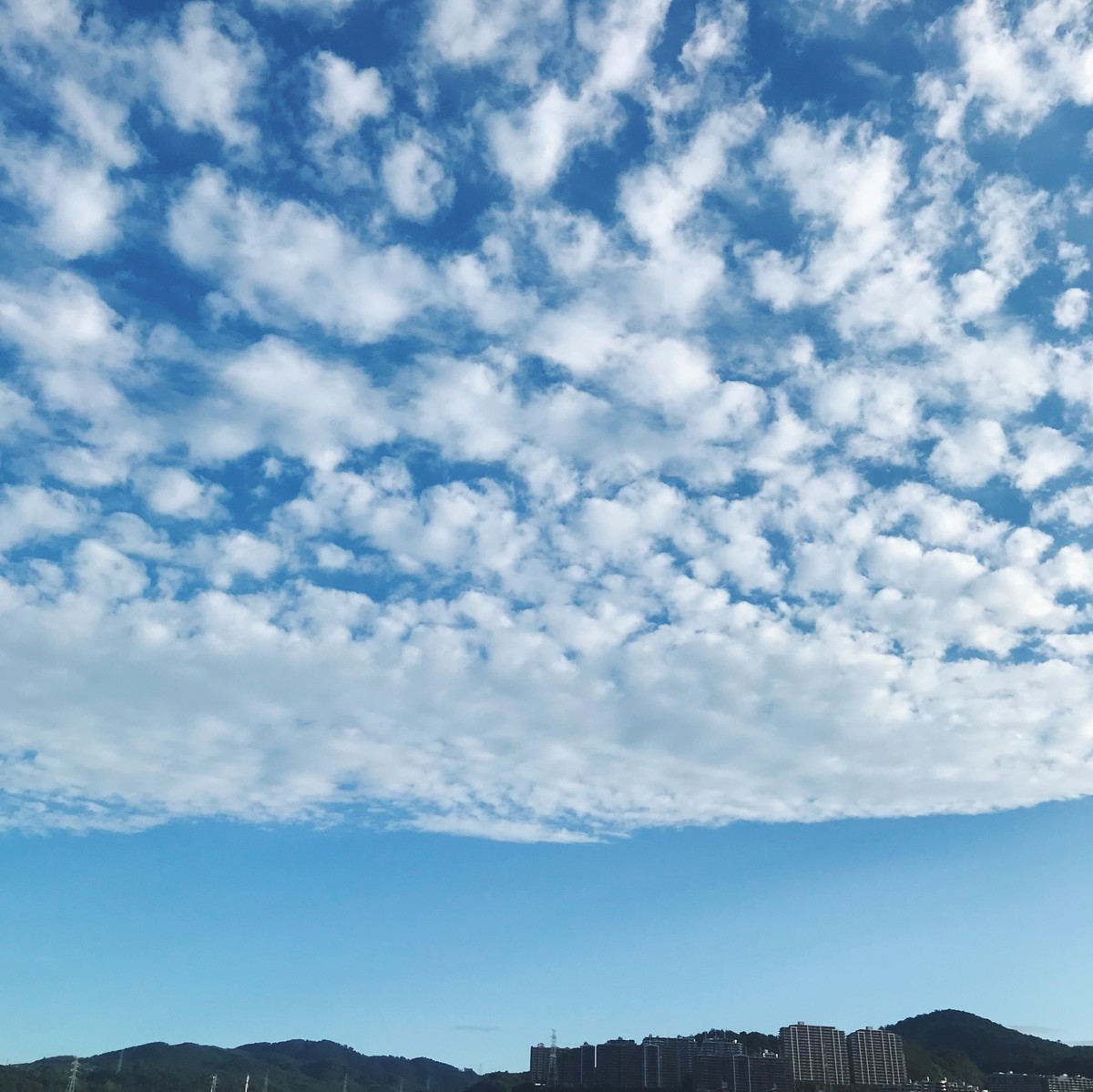 f:id:asacafe:20210911162523j:plain