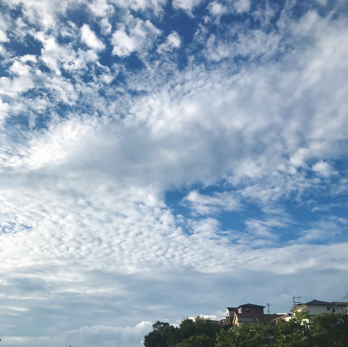 f:id:asacafe:20210914012043j:plain