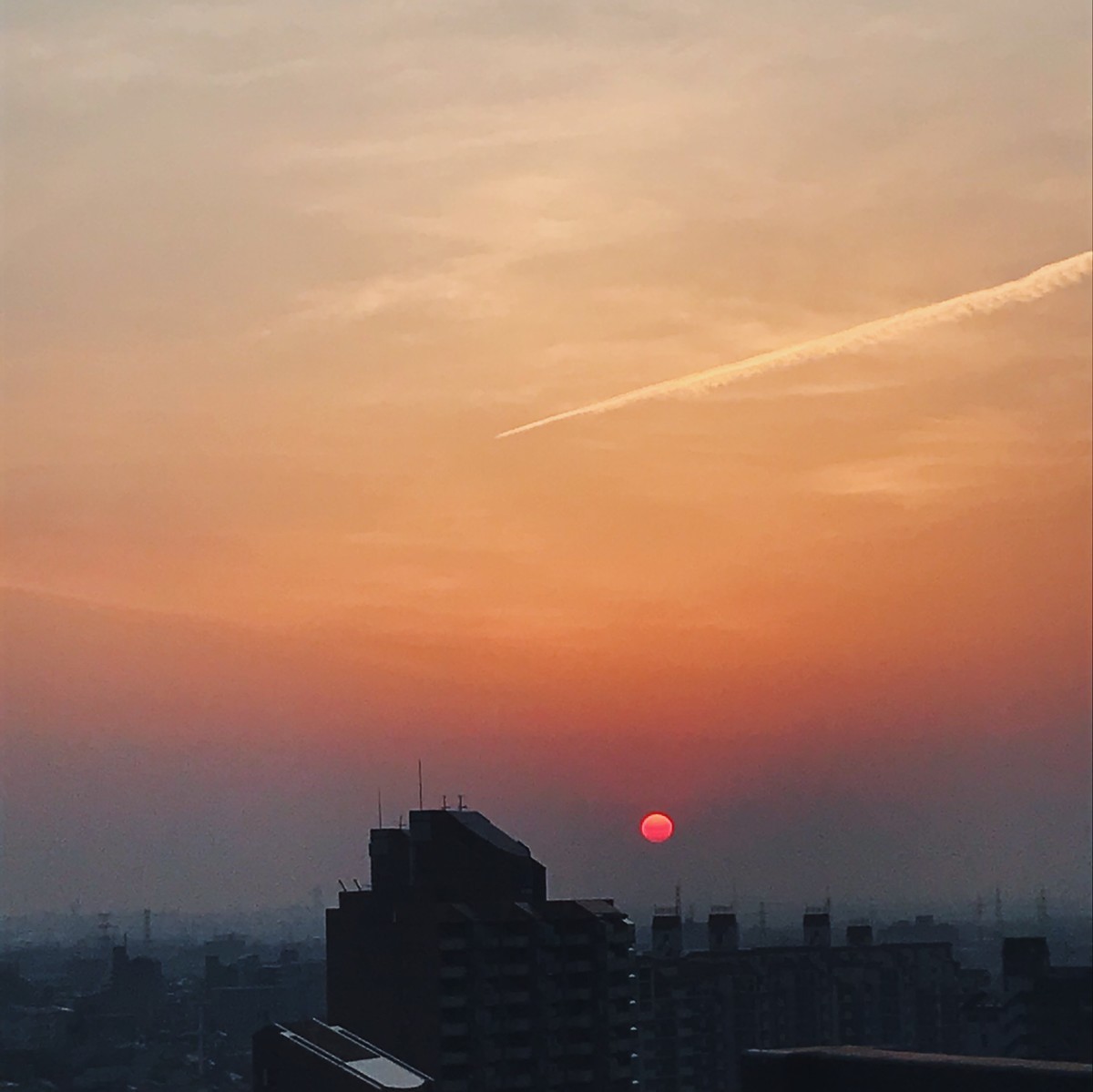 f:id:asacafe:20220320193742j:plain
