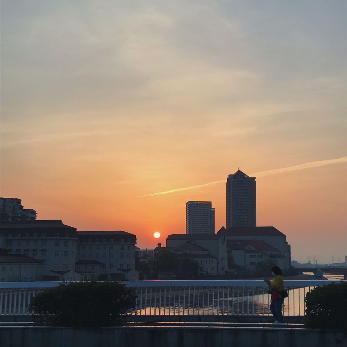 f:id:asacafe:20220320194639j:plain