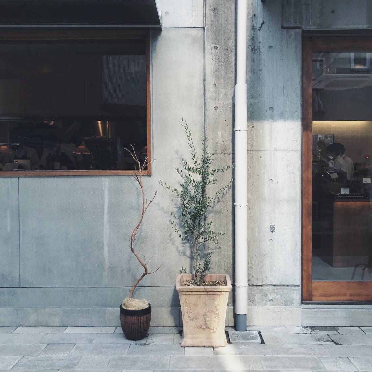 f:id:asacafe:20220330230242j:plain