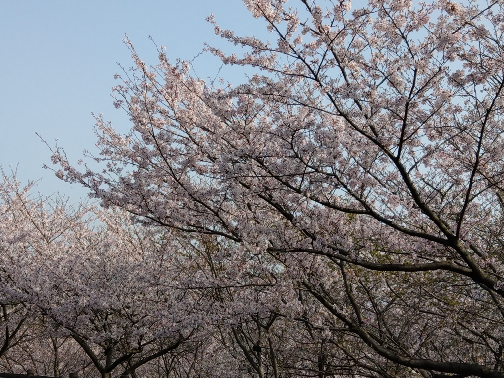 f:id:asadakeiko576:20180401164752j:plain