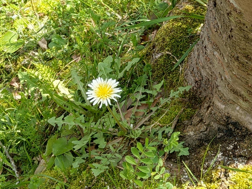 f:id:asadakeiko576:20180426183210j:plain f:id:asadakeiko576:20180426183210j:plain