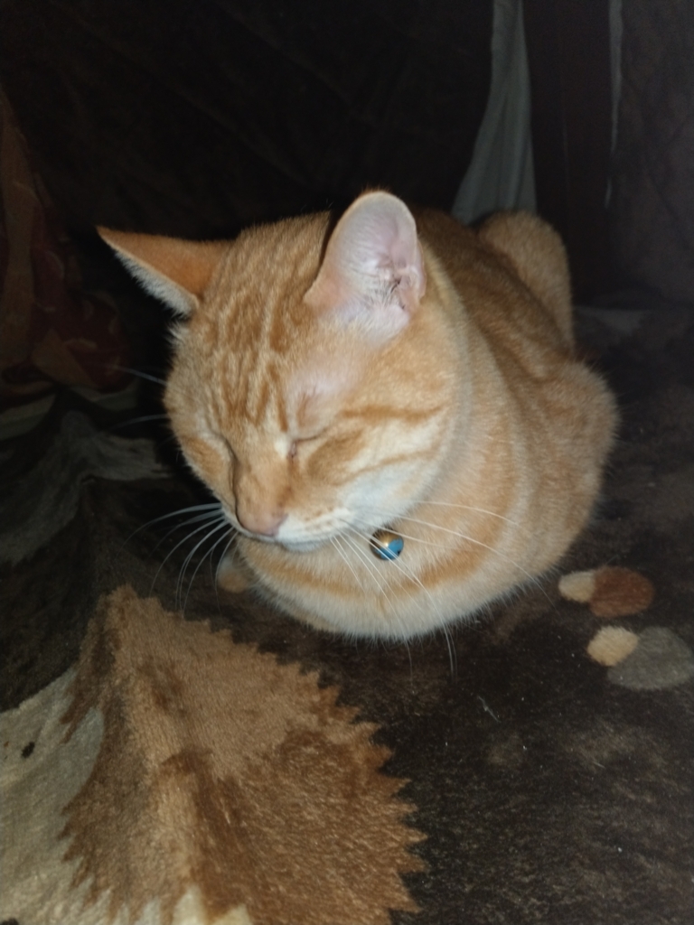 f:id:asadakeiko576:20180508123903j:plain f:id:asadakeiko576:20180508123903j:plain