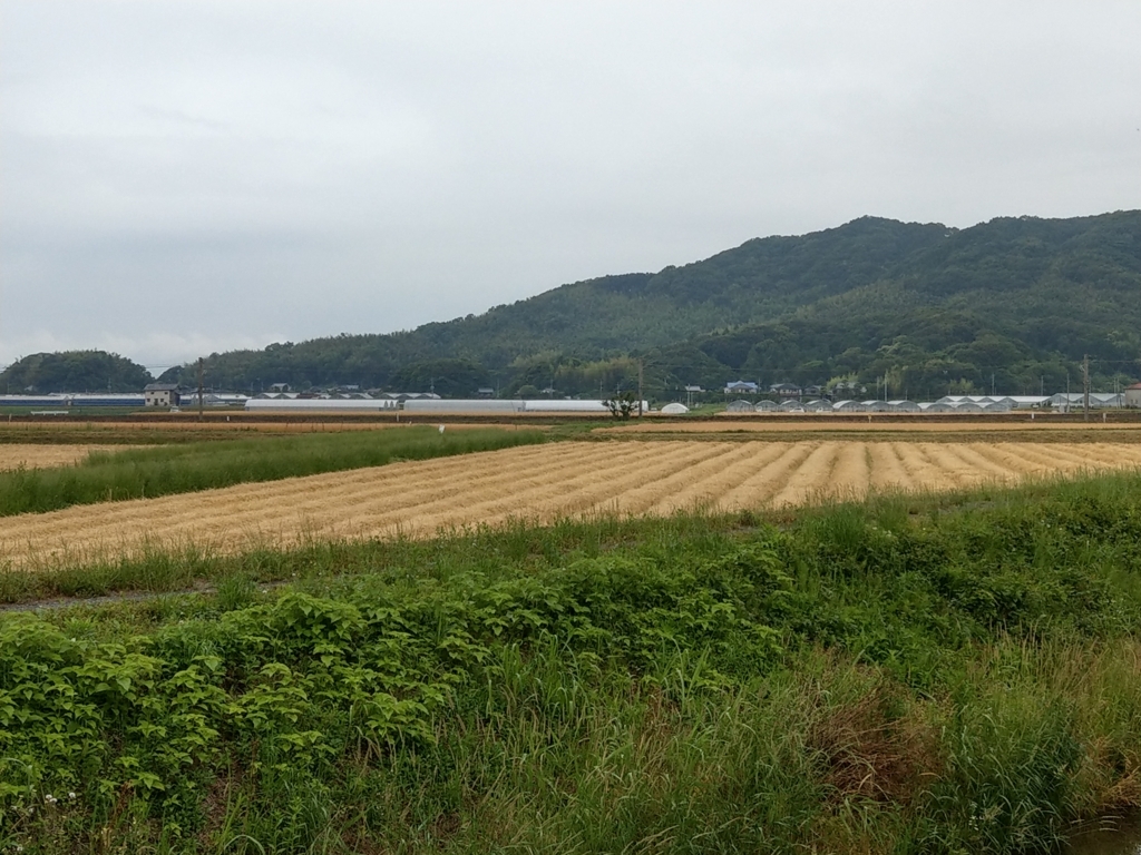 f:id:asadakeiko576:20180529225809j:plain f:id:asadakeiko576:20180529225809j:plain
