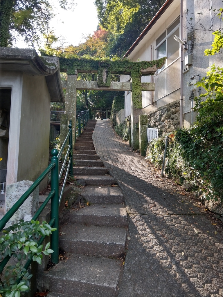 f:id:asadakeiko576:20181126124315j:plain