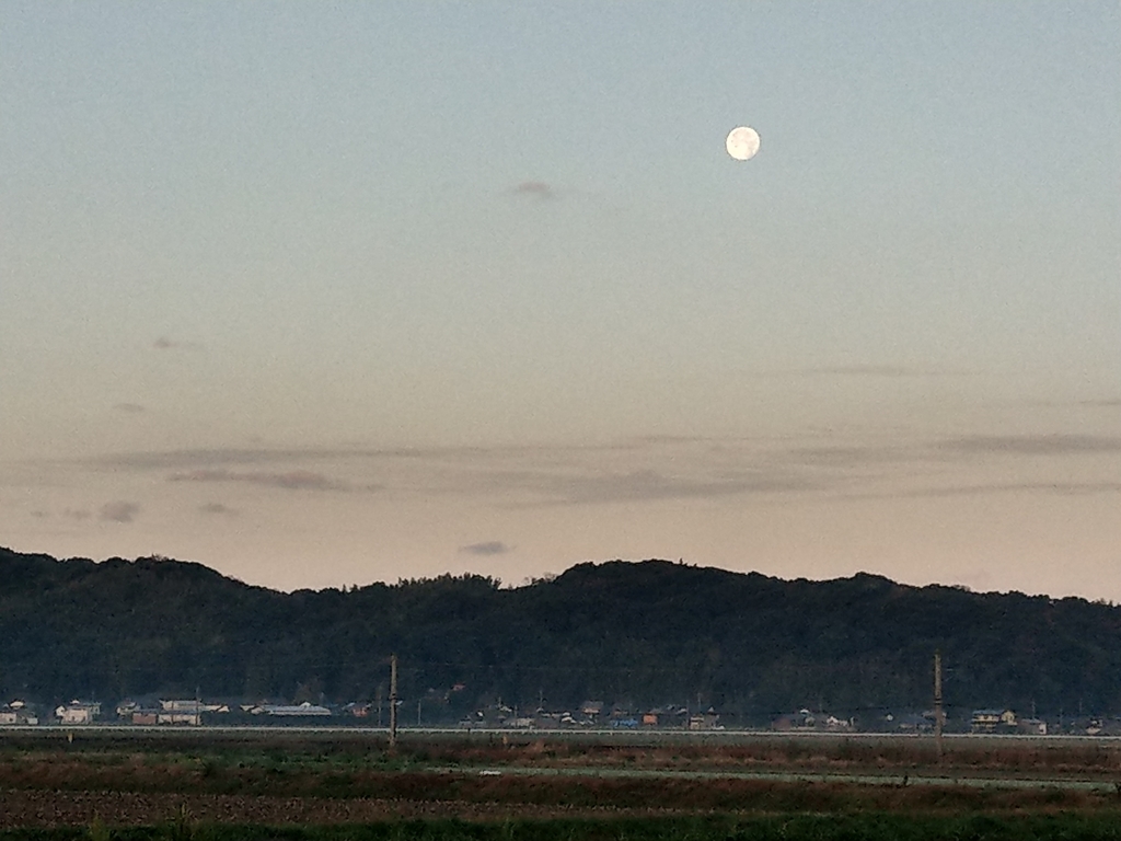 f:id:asadakeiko576:20181225180241j:plain f:id:asadakeiko576:20181225180241j:plain